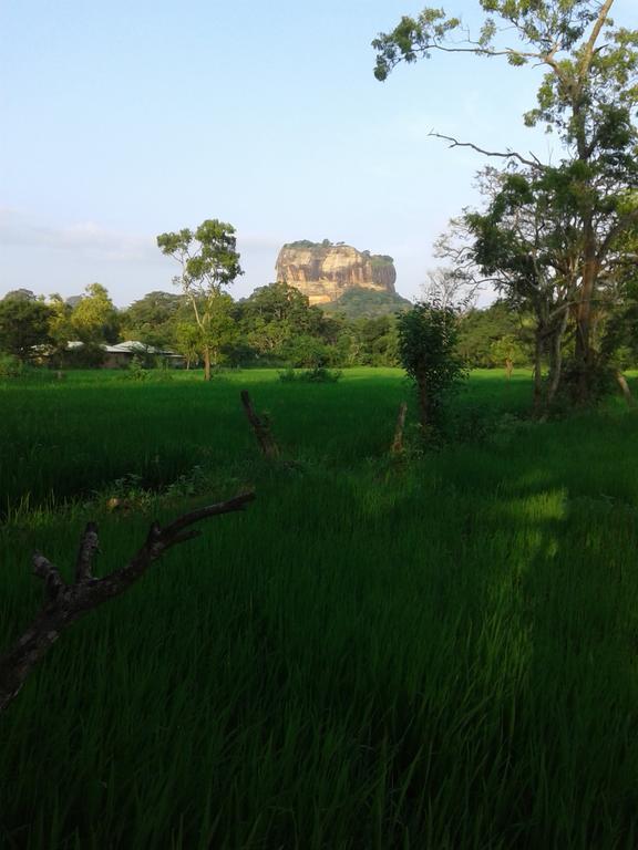 Sigiri Leisure Holiday Home Sigiriya Bagian luar foto