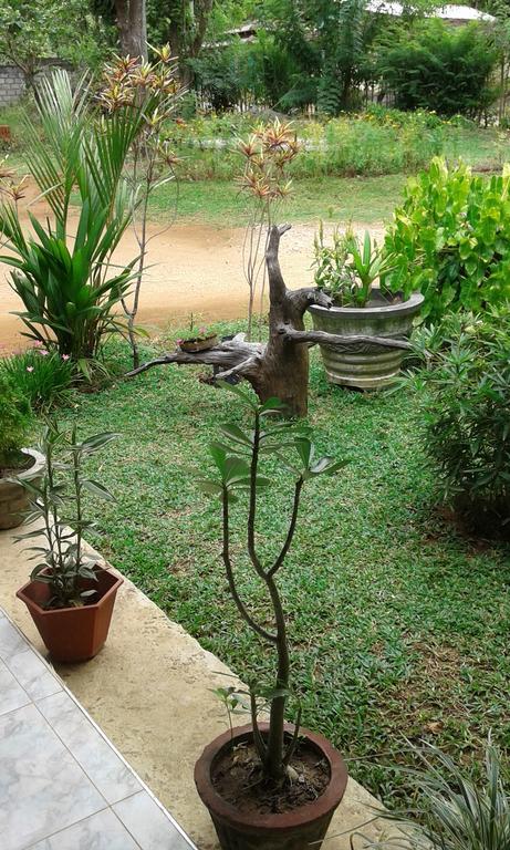 Sigiri Leisure Holiday Home Sigiriya Bagian luar foto