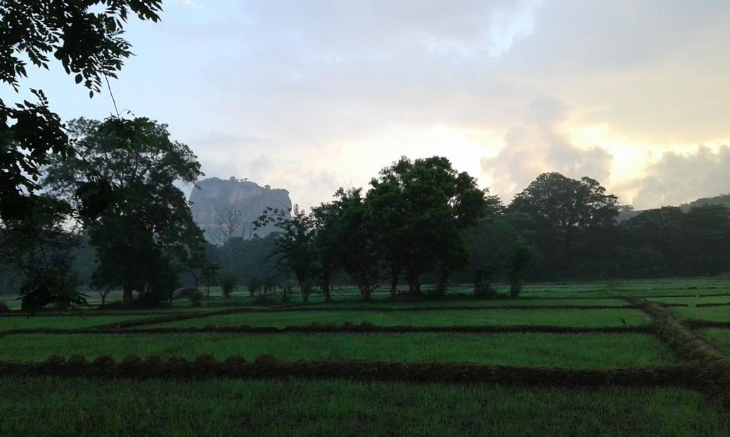 Sigiri Leisure Holiday Home Sigiriya Bagian luar foto